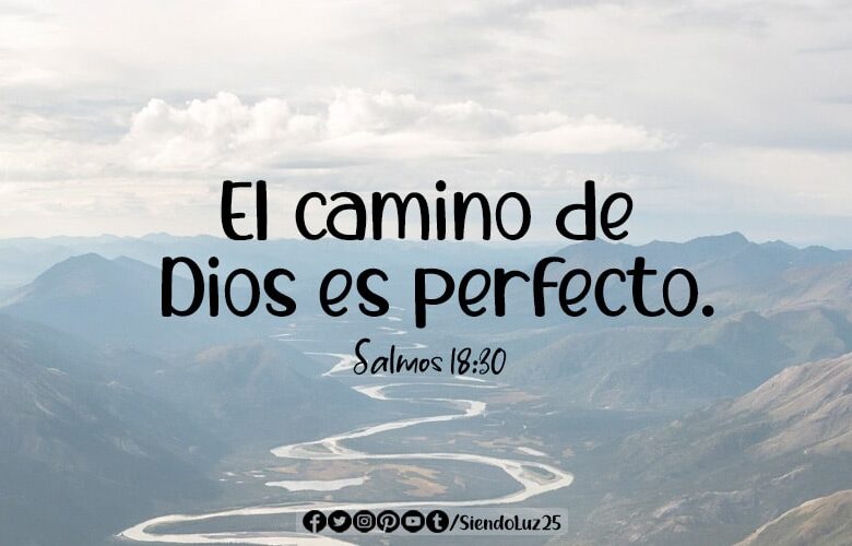 Su camino es perfecto