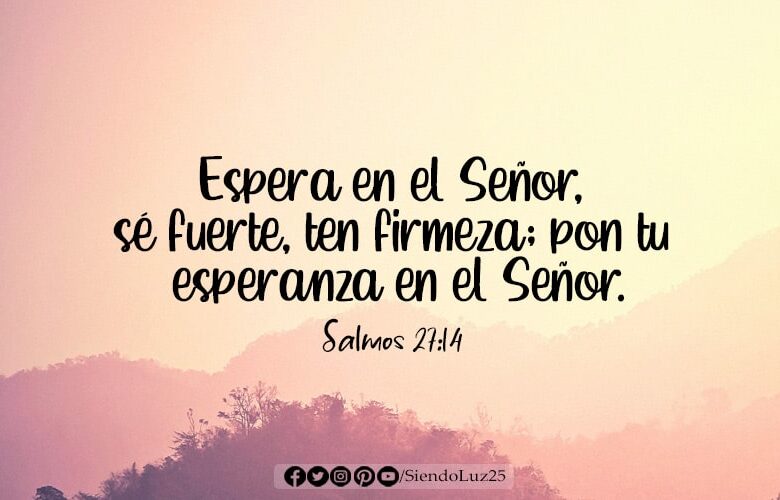 Espera en el Señor